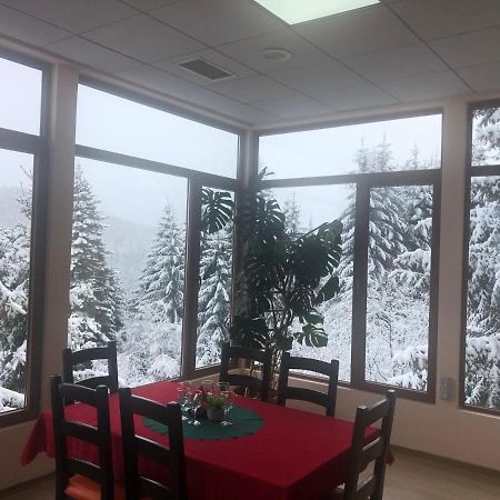 Genco Hotel Mountain View Predeal Eksteriør billede