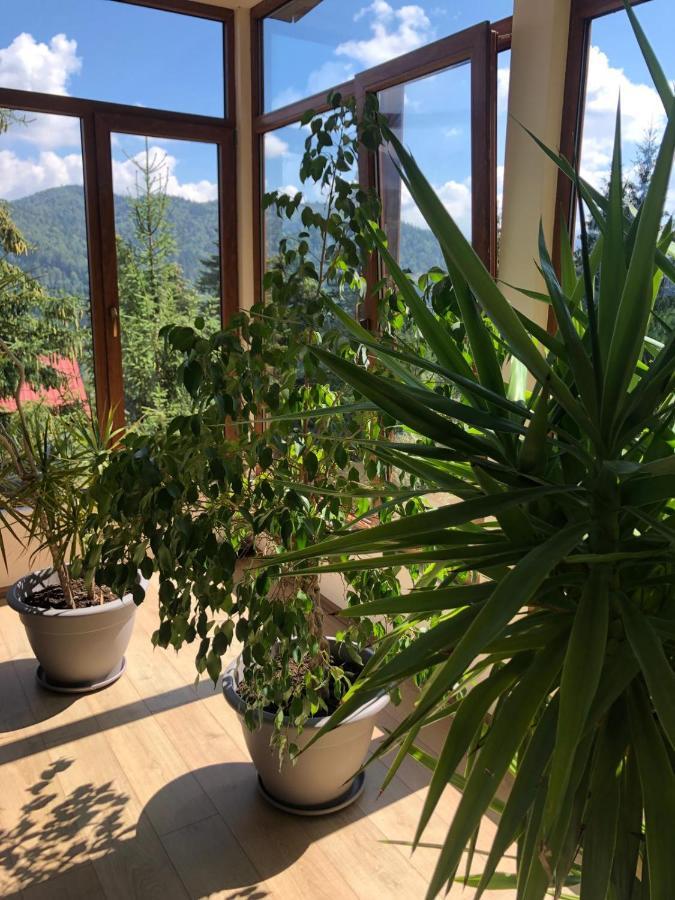 Genco Hotel Mountain View Predeal Eksteriør billede