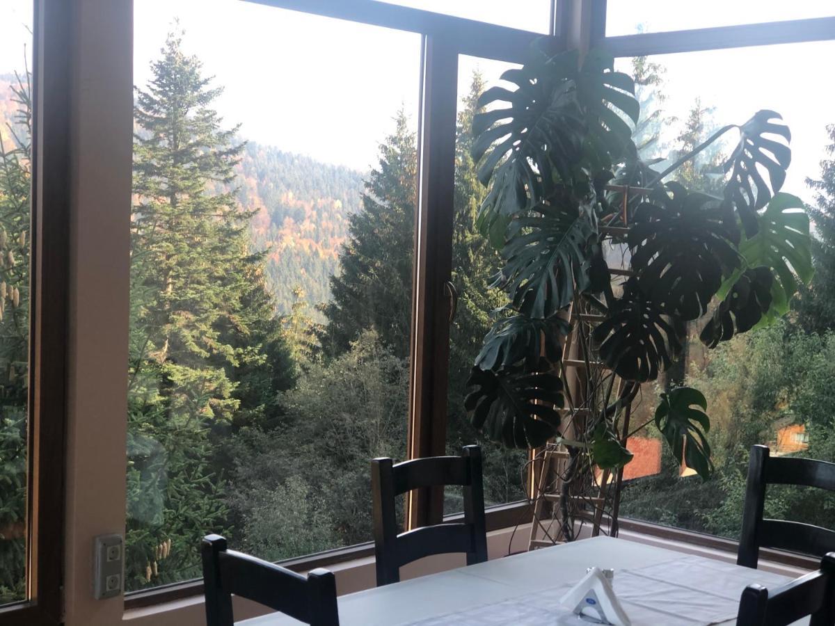 Genco Hotel Mountain View Predeal Eksteriør billede