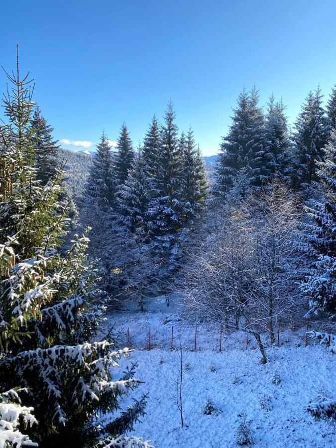 Genco Hotel Mountain View Predeal Eksteriør billede