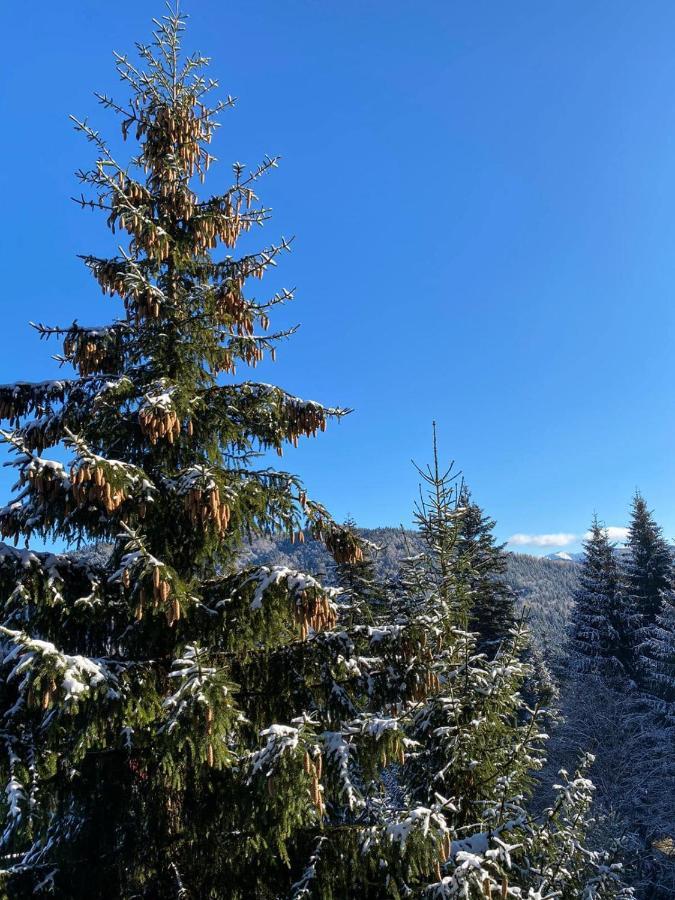 Genco Hotel Mountain View Predeal Eksteriør billede