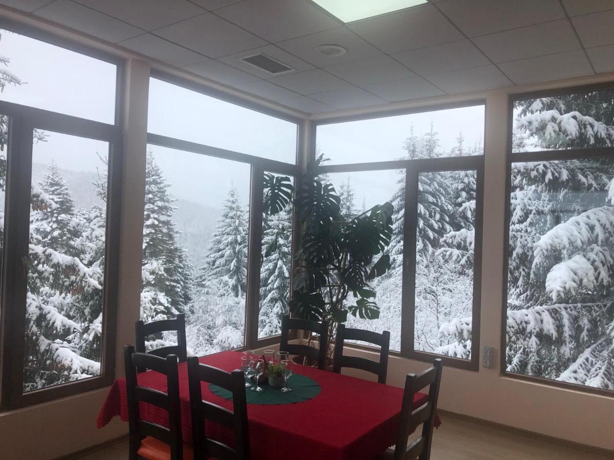 Genco Hotel Mountain View Predeal Eksteriør billede